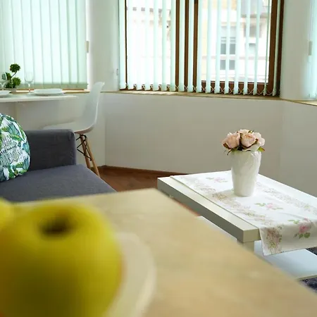 Shushi's 1 Bedroom 普罗夫迪夫