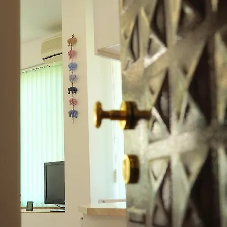 Shushi's 1 Bedroom 公寓 *