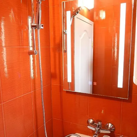 Shushi's 1 Bedroom 公寓 *